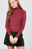 Long Sleeve Shirring Turtle Neck Rib Knit Top