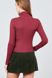 Long Sleeve Shirring Turtle Neck Rib Knit Top